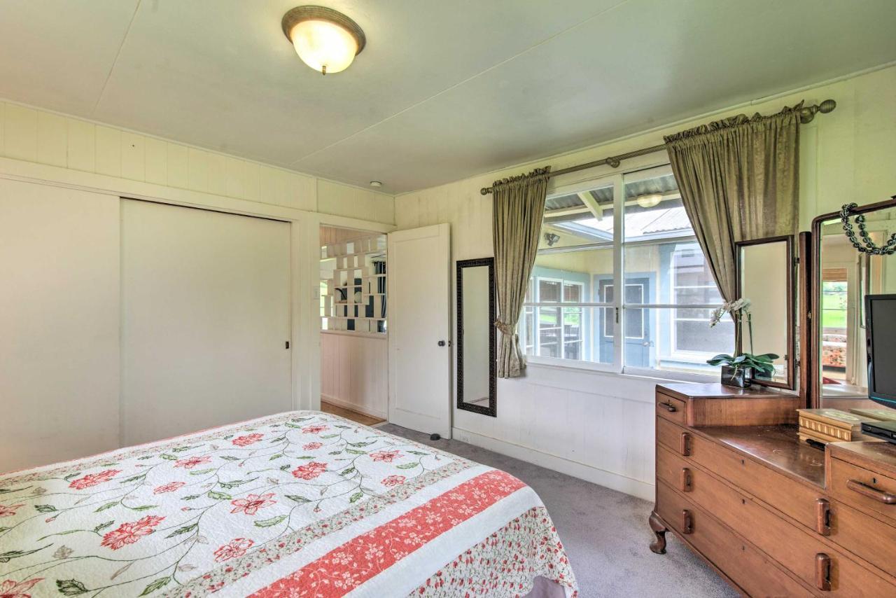 Hilo Home Base - 3 Miles To State Park And Beach! 外观 照片